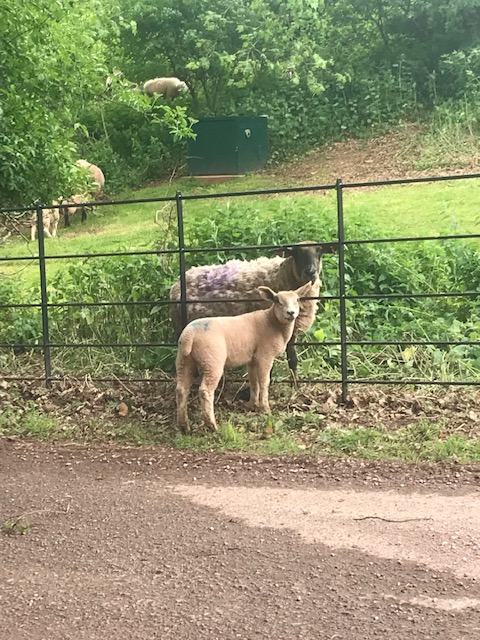 D091F467-D6F5-4399-9055-CF3161731A35