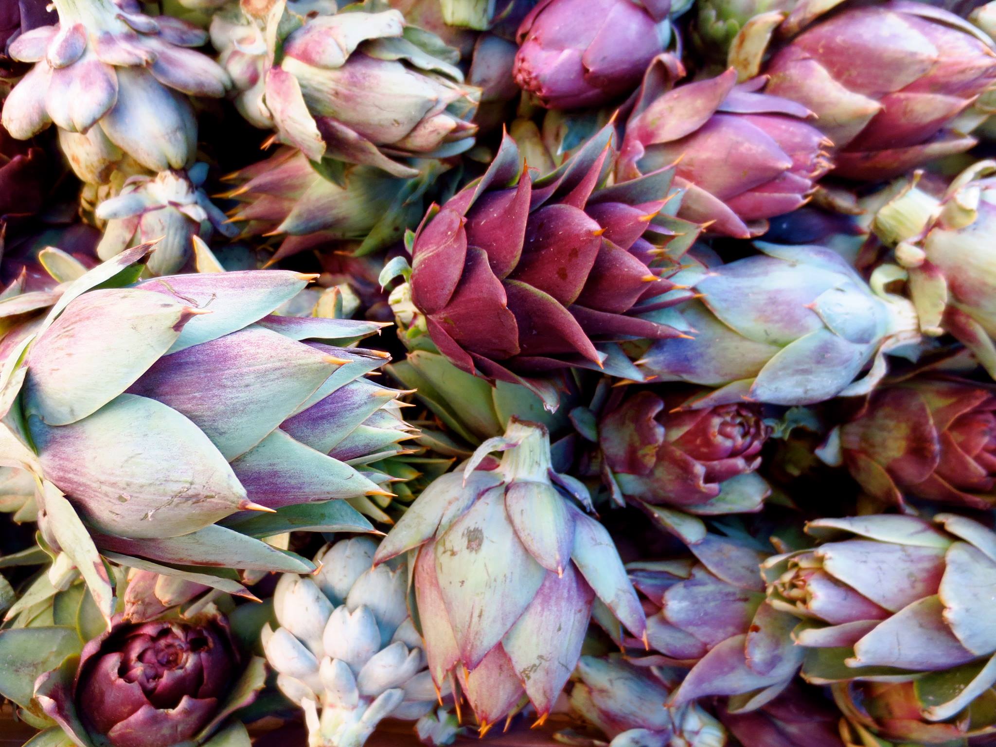 10344193_735841896466372_2046877898324788249_o